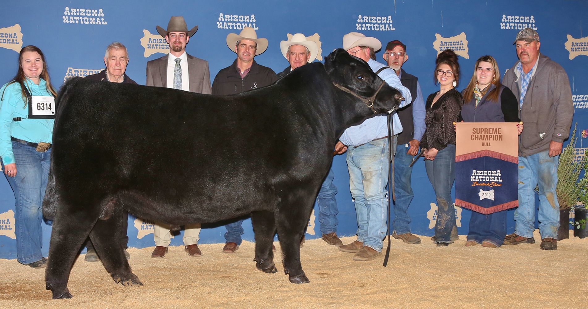 Evans Paychek 86 supreme -- No bull!